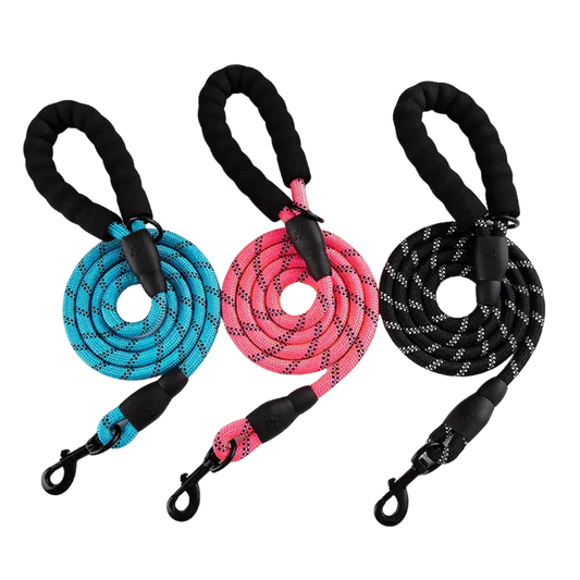 Anti - Pull Dog Leash