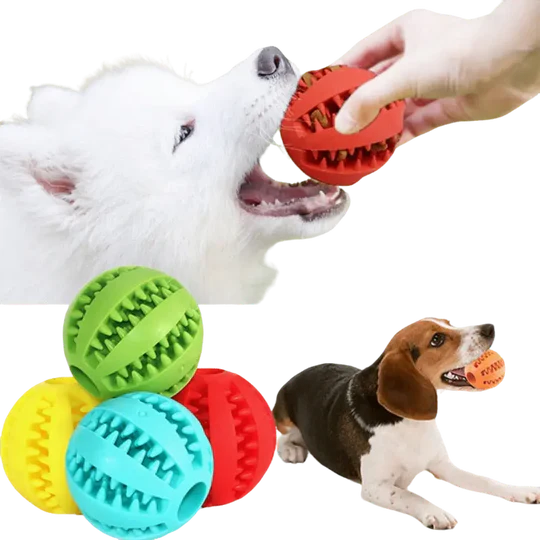 Chewing Rubber Balls