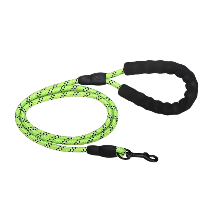 Anti - Pull Dog Leash